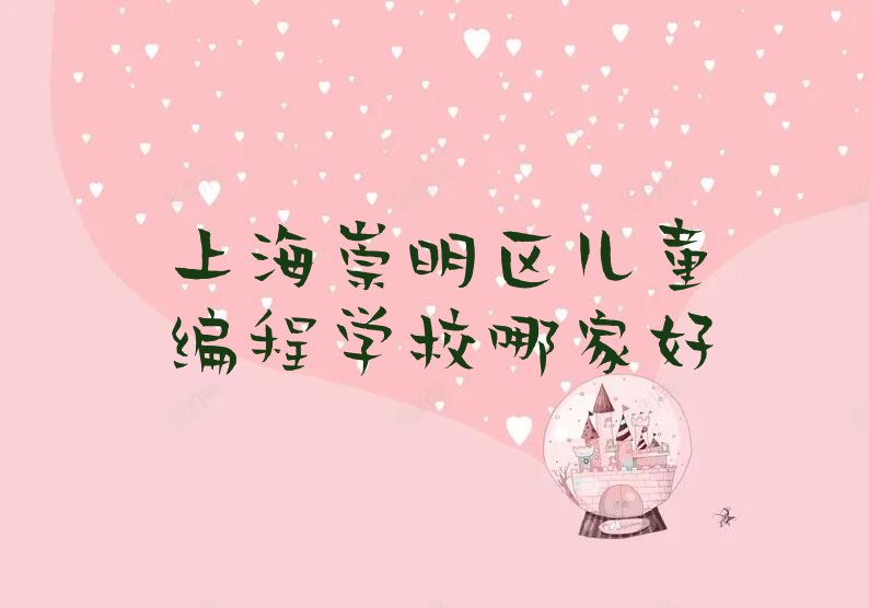 上海崇明区东平林场儿童编程培训学校