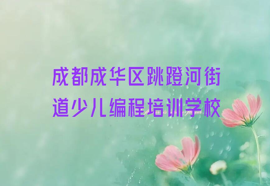 成都成华区跳蹬河街道少儿编程培训学校