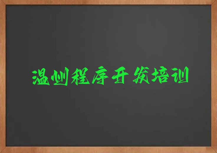 温州洞头区大门镇少儿编程培训学校