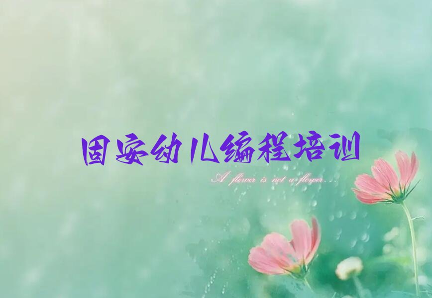 固安少儿编程培训学校