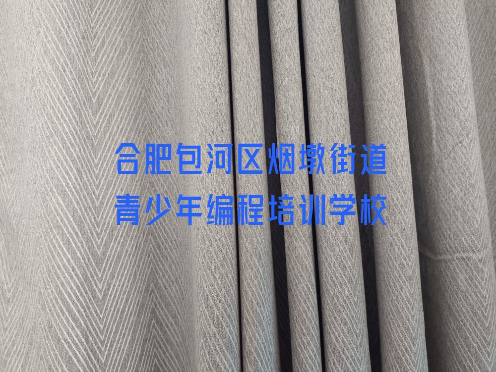 合肥包河区烟墩街道青少年编程培训学校