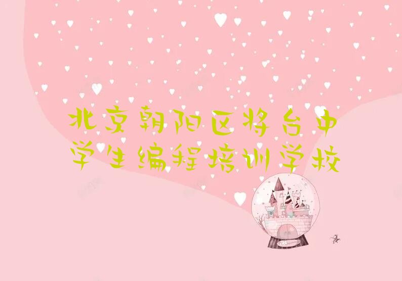 北京朝阳区将台中学生编程培训学校