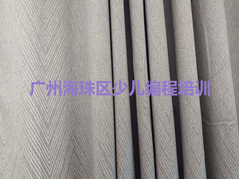 广州海珠区少儿编程培训
