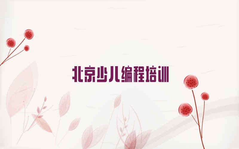 北京朝阳区将台中学生编程培训学校
