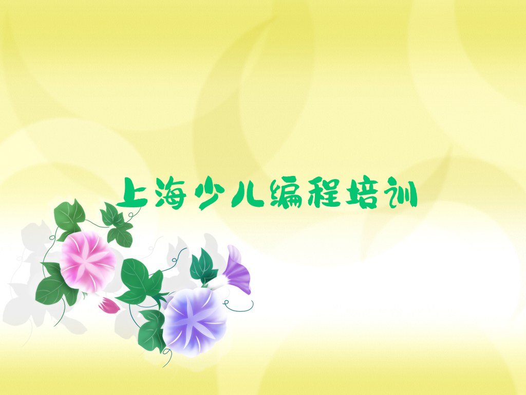 上海杨浦区长海路少儿编程培训学校