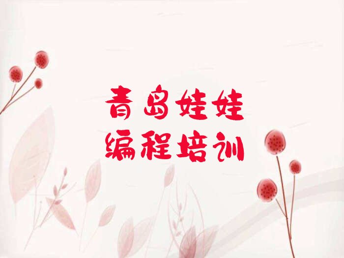 青岛少儿编程培训班