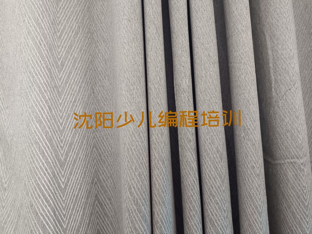 沈阳浑南区少儿编程培训班