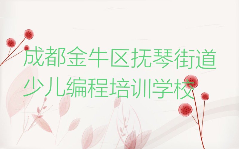 成都金牛区抚琴街道少儿编程培训学校