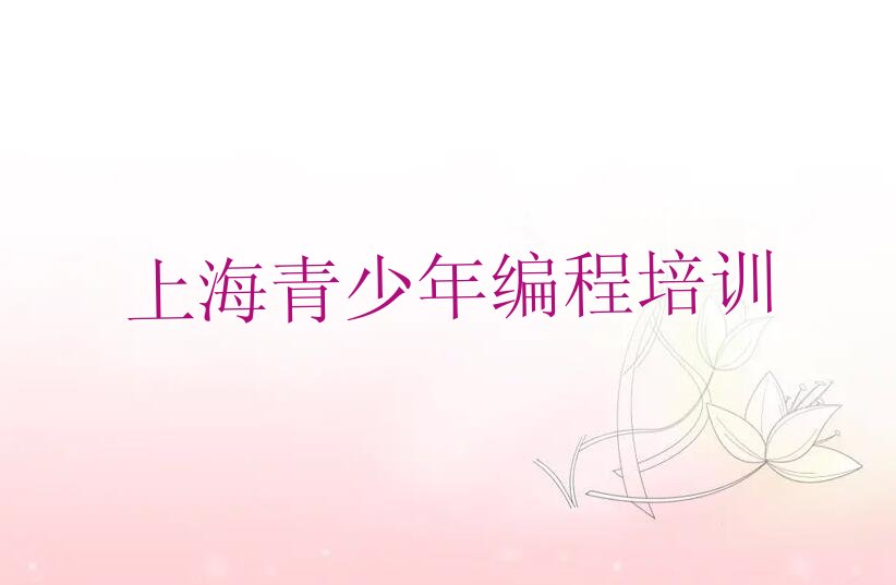 十大上海徐汇区青少年编程培训课一节课多少钱排行榜