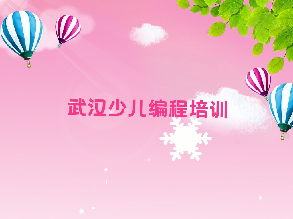 武汉硚口区汉中街道少儿编程培训学校