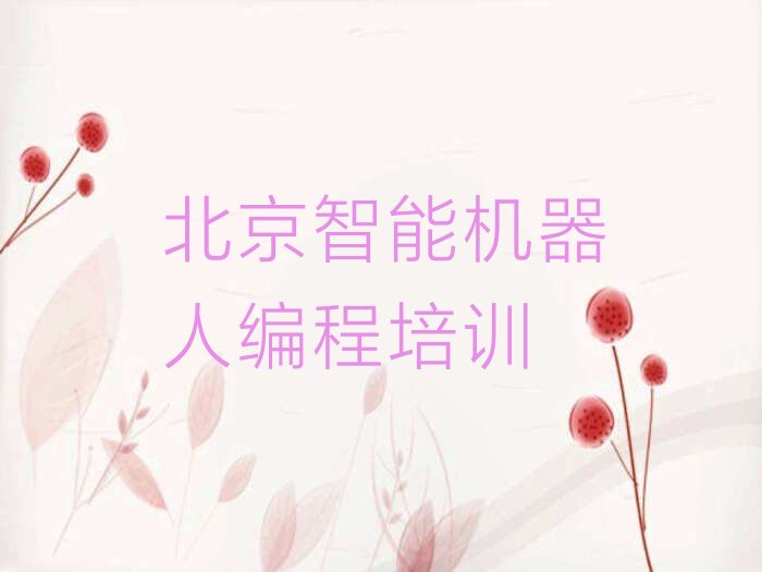 智能机器人编程