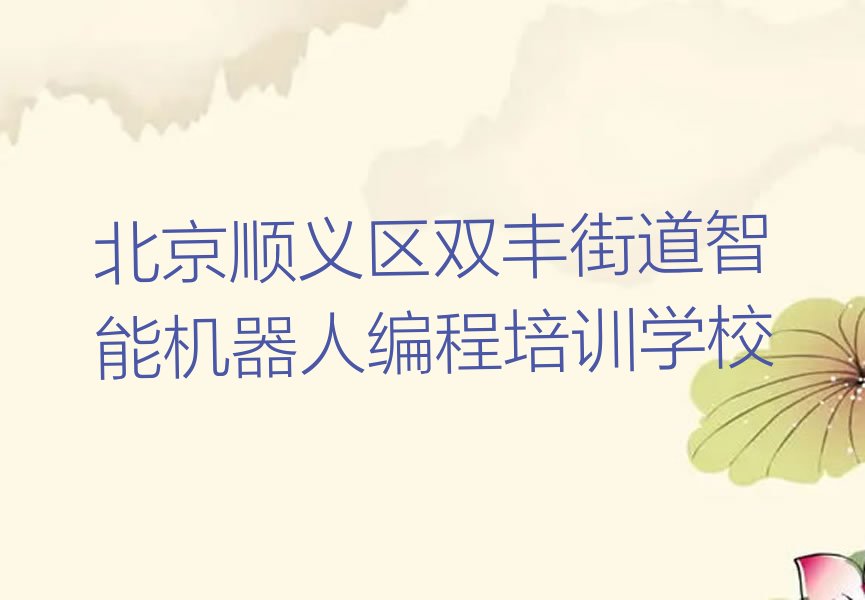 北京顺义区双丰街道智能机器人编程培训学校