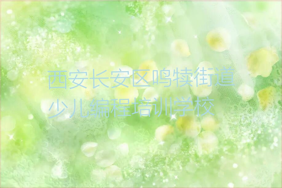 西安长安区鸣犊街道少儿编程培训学校