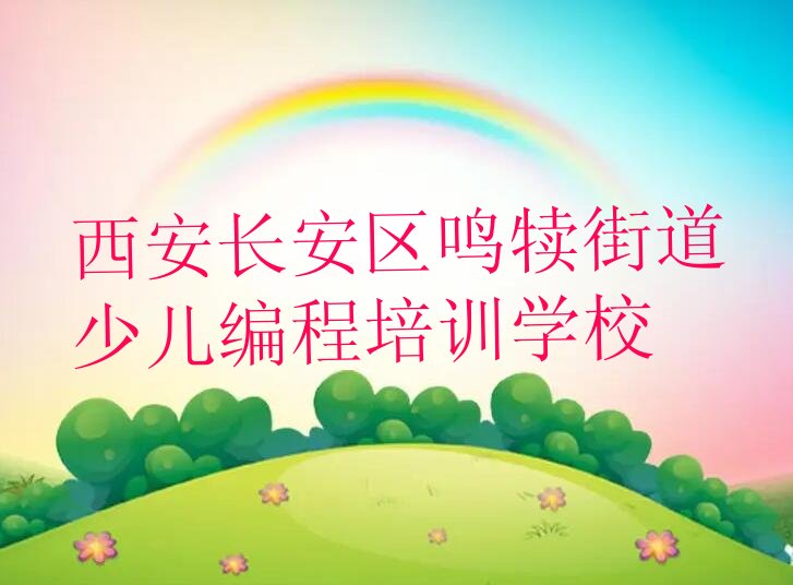 娃娃编程