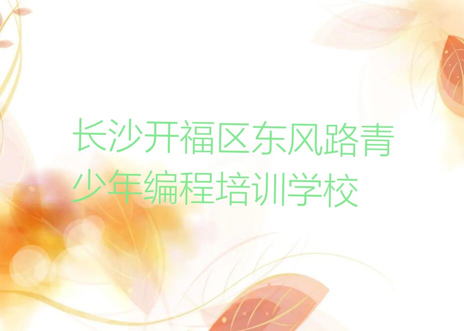 长沙开福区东风路青少年编程培训学校