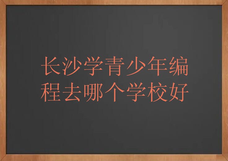 长沙开福区东风路青少年编程培训学校