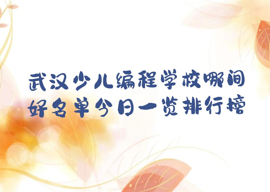 武汉少儿编程培训中心