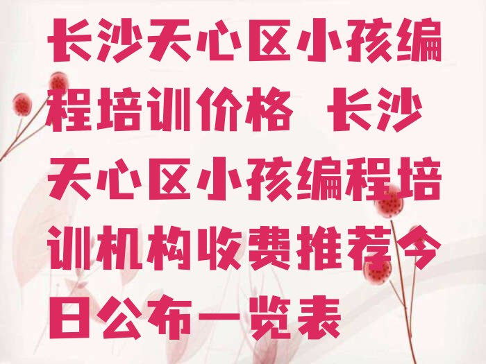 长沙小孩编程培训学校