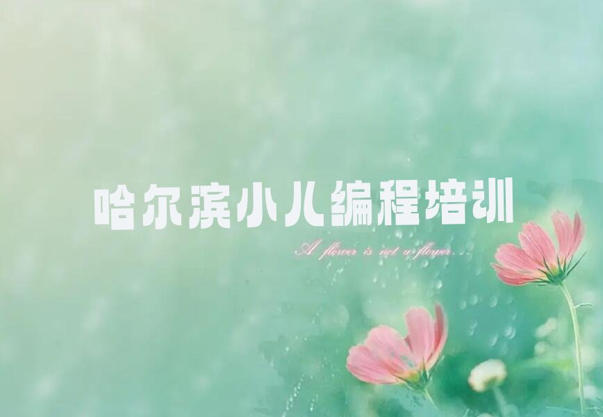 小儿编程