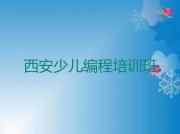 2025年西安玉蝉街道在哪可以学小孩编程十大排名一览排行榜