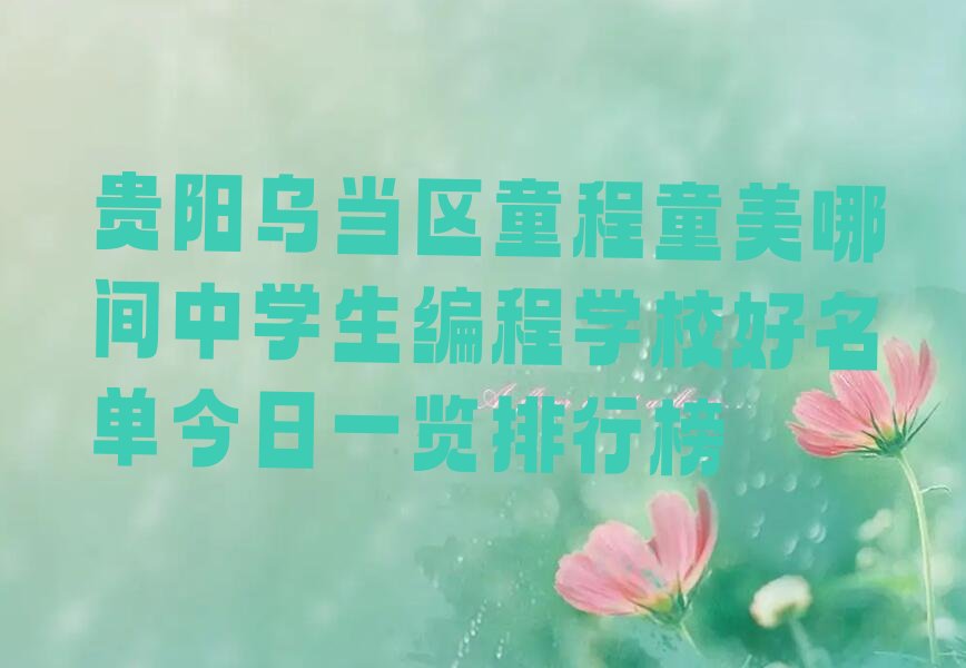中学生编程