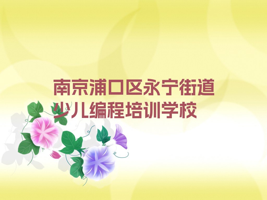南京浦口区永宁街道少儿编程培训学校