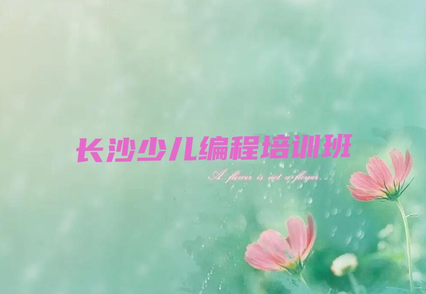 长沙少儿编程培训班
