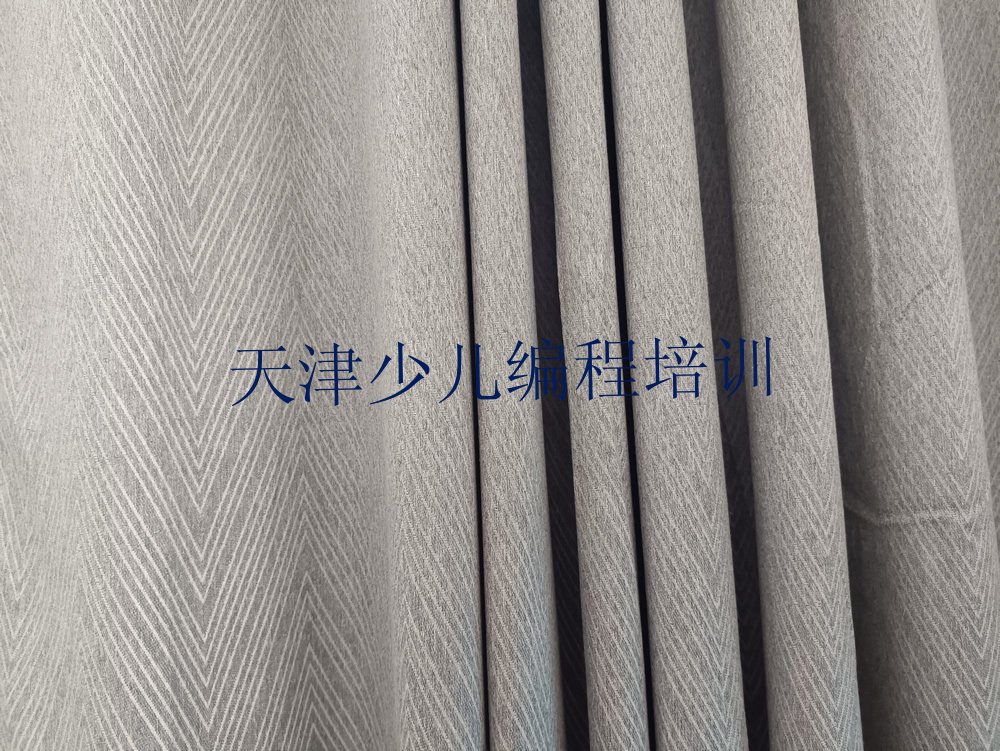 十大天津和平区少儿编程班哪个机构好排行榜