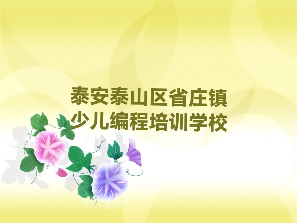 泰安泰山区省庄镇少儿编程培训学校