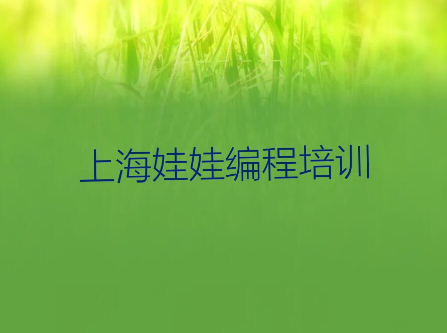 十大上海金山区娃娃编程培训学校课程排行榜