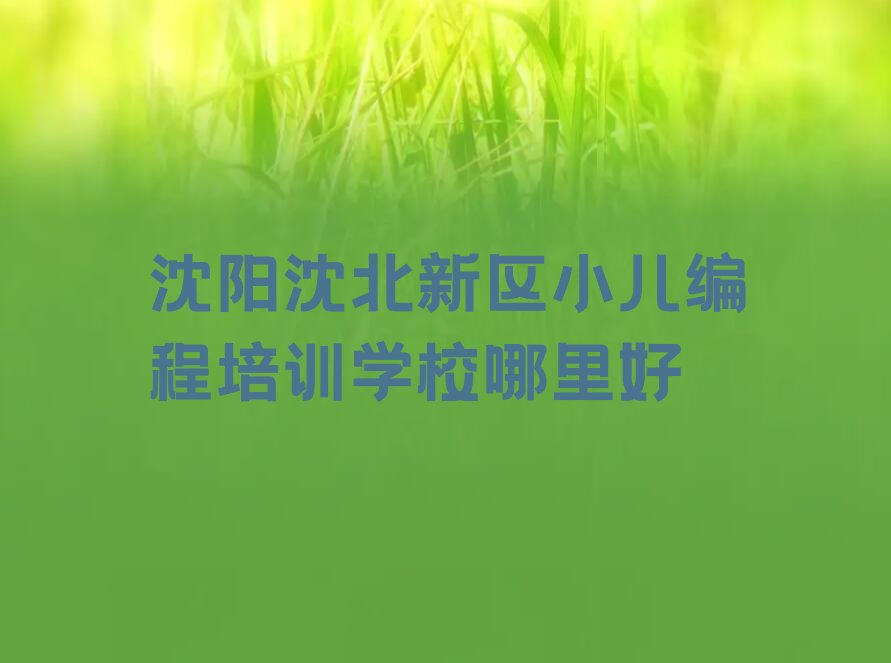 沈阳少儿编程培训学校