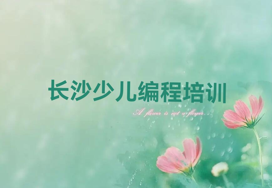 长沙芙蓉区荷花园少儿编程培训学校