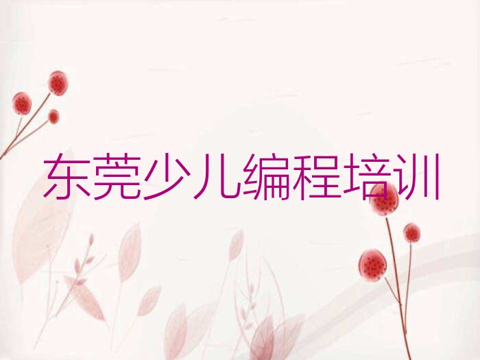 东莞少儿编程培训
