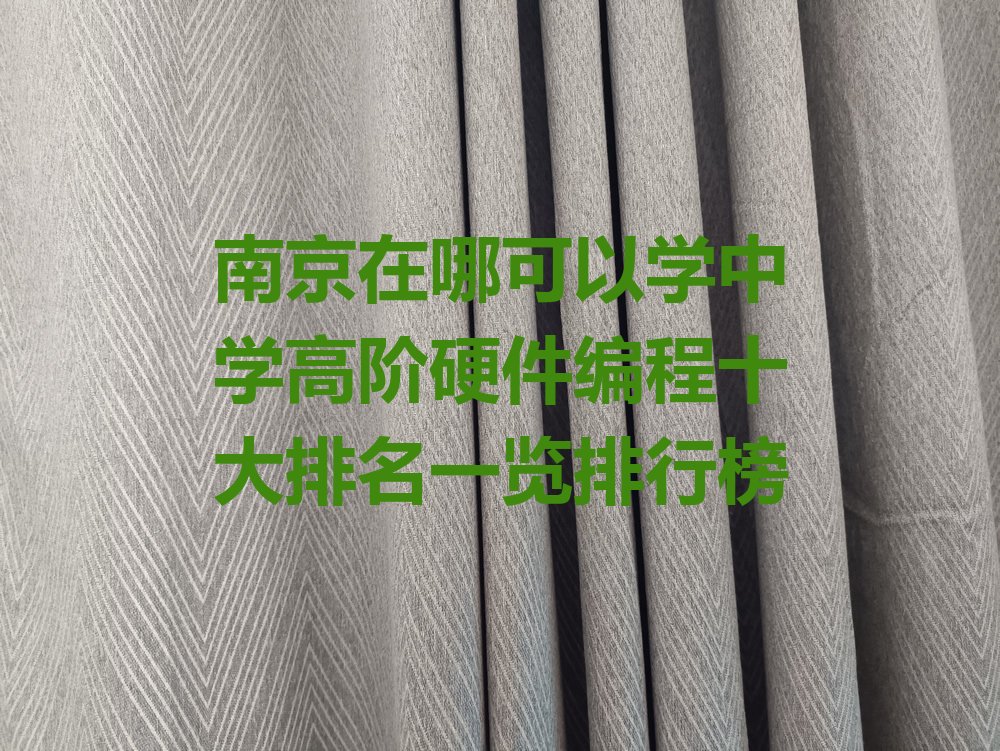 南京建邺区中新南京生态科技岛少儿编程培训学校