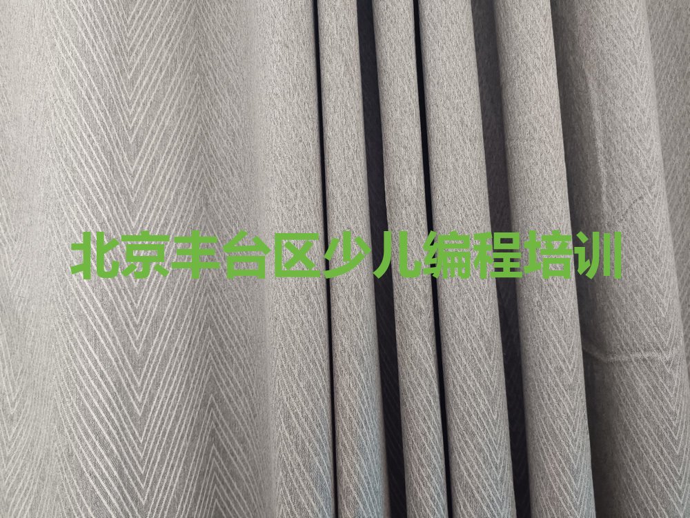 北京丰台区少儿编程培训