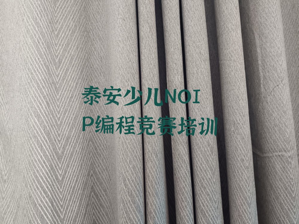 十大2025年泰安泰山区童程童美哪能学少儿NOIP编程竞赛名单精选一览排行榜排行榜
