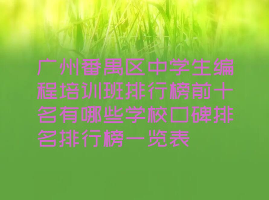 中学生编程