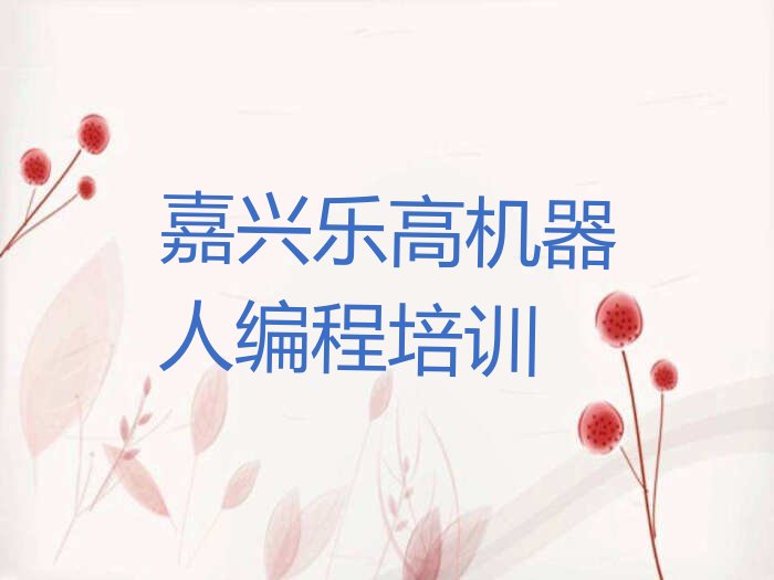 十大嘉兴南湖区乐高机器人编程学校学乐高机器人编程好不好排行榜