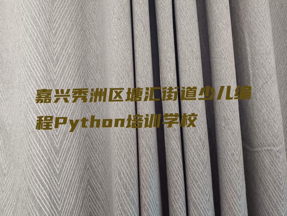 十大2025年嘉兴秀洲区有名的少儿编程Python培训课程名单总览公布一览表排行榜