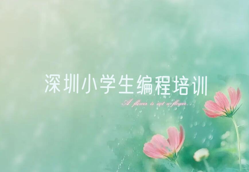 十大2025年深圳在哪学小学生编程好名单今日一览排行榜排行榜