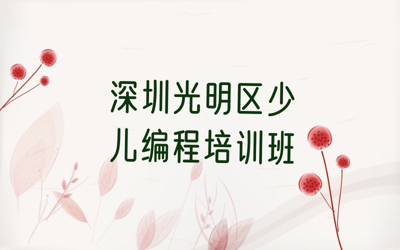 深圳光明区少儿编程培训班