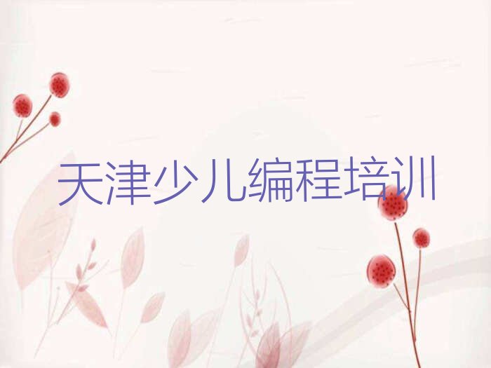 天津河北区少儿编程培训中心