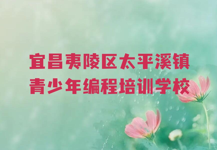 宜昌夷陵区太平溪镇青少年编程培训学校