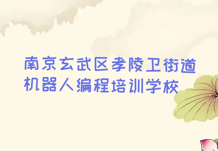 南京玄武区孝陵卫街道机器人编程培训学校