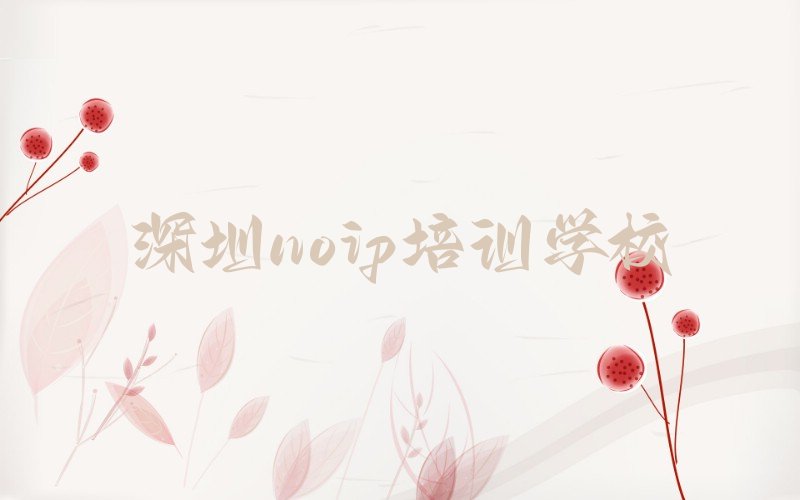 深圳noip培训学校