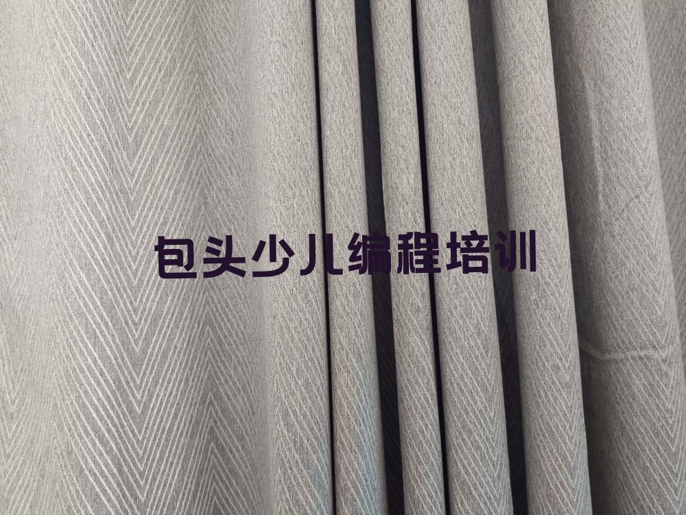 包头青山区少儿编程培训