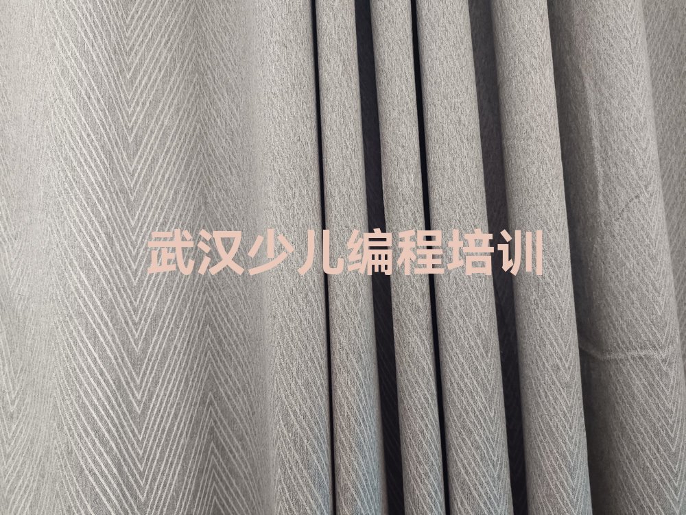 十大武汉武昌区孩子编程哪里有好的孩子编程培训班排行榜