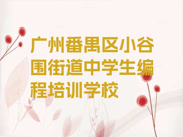 广州番禺区小谷围街道中学生编程培训学校