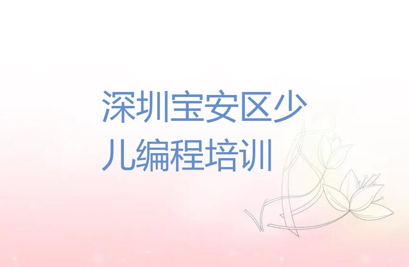 深圳宝安区少儿编程培训