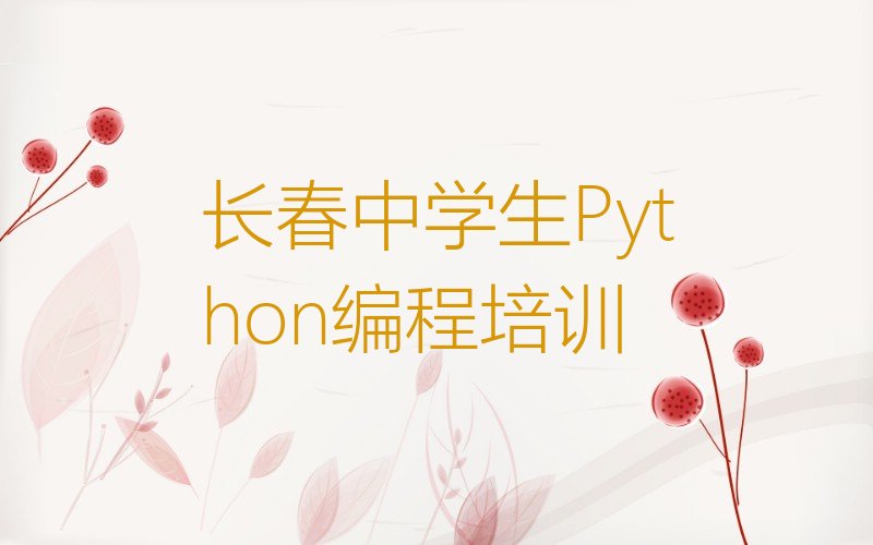 中学生Python编程